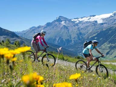 VVF Villages - Le Parc de la Vanoise - Lanslevillard